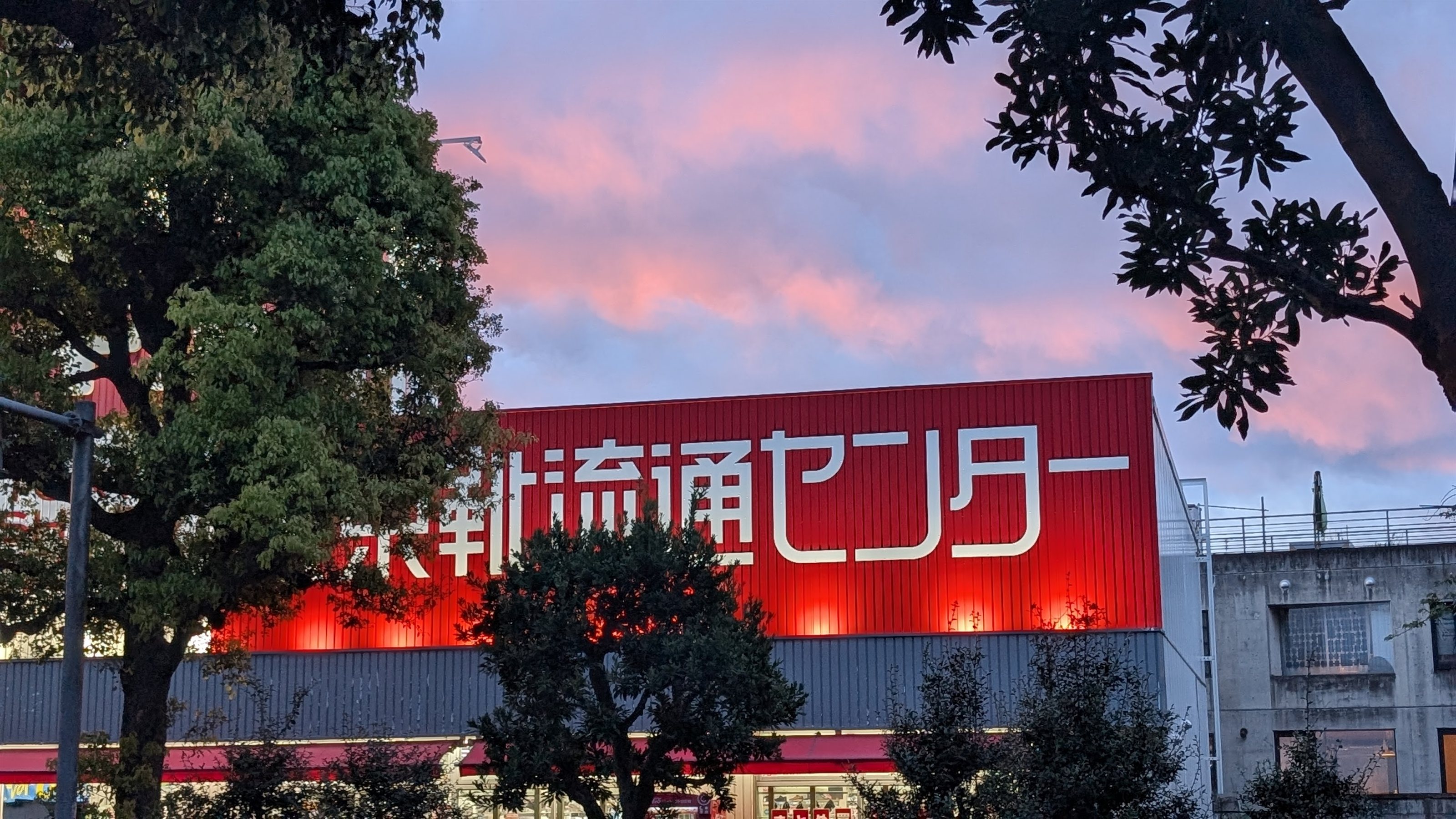東京靴流通センター